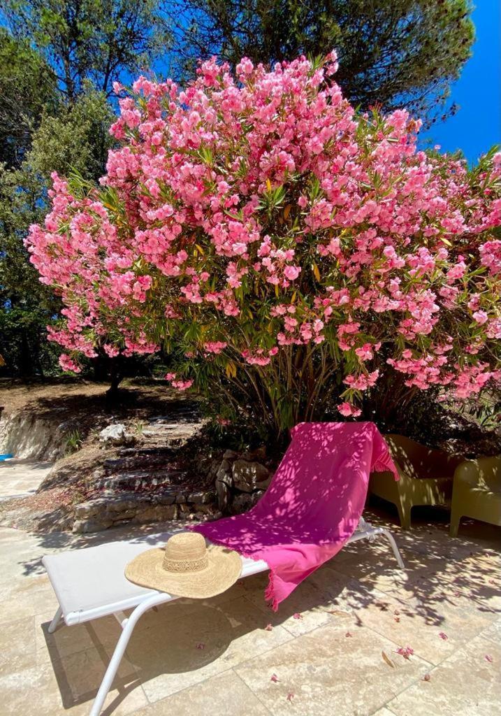 La Bastide Blanche Magnifique villa 5 étoiles 5 chambres et piscine privée sur 6500 m VAR Lorgues Exterior foto